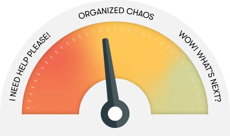 Organized Chaos